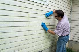 Best Insulated Siding Installation  in Boulevard Park, WA